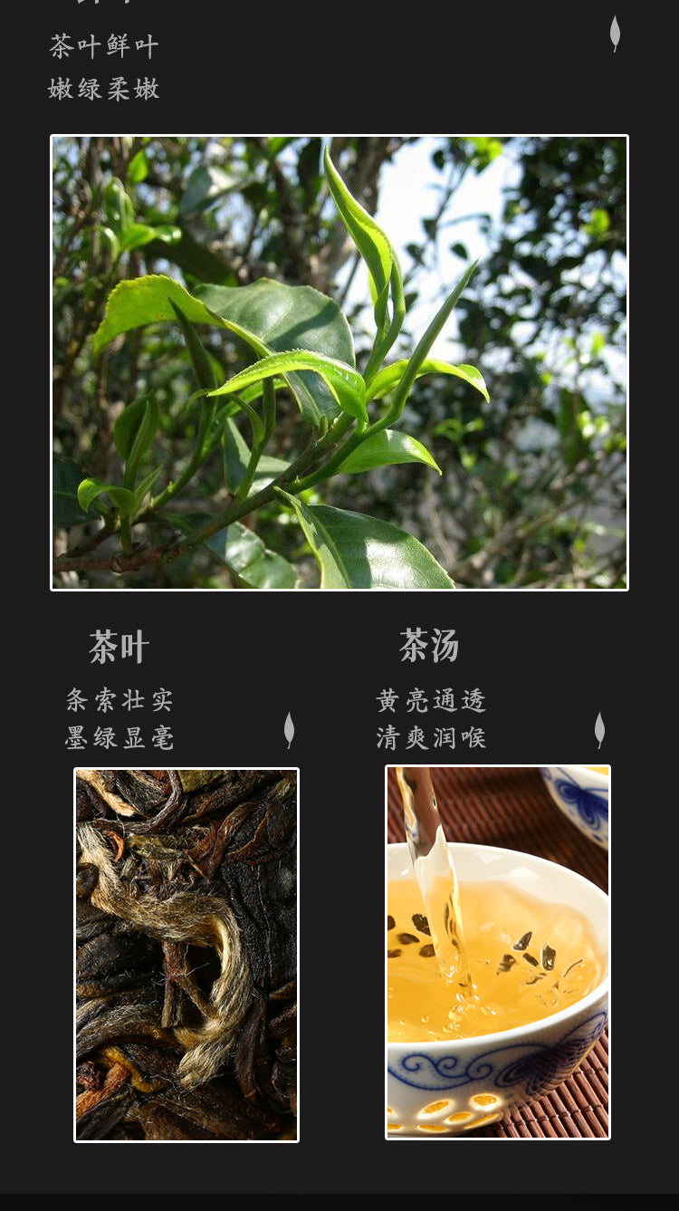 2021 Marquis 50g*4 Raw Tuo Tea